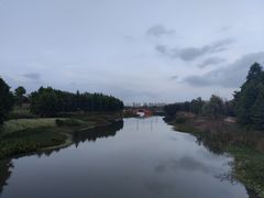 -三垟湿地