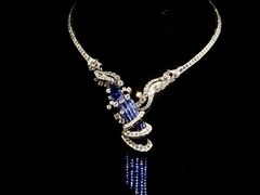 -美国自然历史博物馆