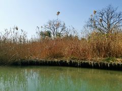 -西溪国家湿地公园