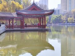 -西宁市人民公园(城西区)