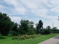 -永定河休闲森林公园