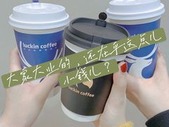 -瑞幸咖啡(绿地新都会9号楼店)