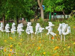 -北京西山国家森林公园