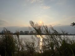 -鹤之洲湿地公园