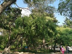 -长春市南湖公园