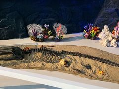 -上海中国航海博物馆