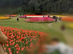 -保利石象湖景区