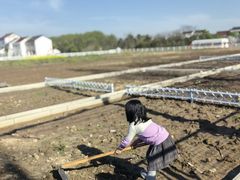 -源香农宝·亲子采摘·钓虾·科普研学