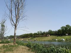 -洨河生态公园