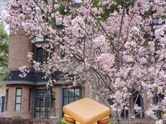 -成都南湖公园