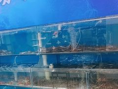 -仙螺岛海鲜自助餐厅(总店)