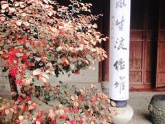-天一阁博物院