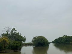 -大湾区中央湿地公园