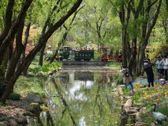 -上海共青森林公园