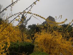 -济南国际园博园