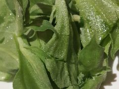 -颐和•海鲜砂锅粥•啫啫煲(奥林匹克广场店)