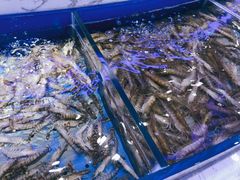 -澜悦港海鲜体验主题餐厅