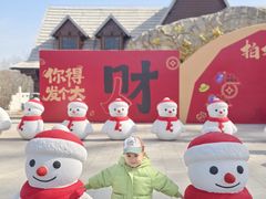 -少华山国家森林公园