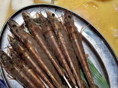 -禄婶鸡煲·打边炉