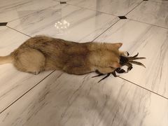 -金地利海鲜酒楼(清凉门店)