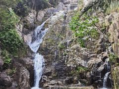 -海南霸王岭国家森林公园