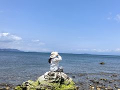 -杨梅坑