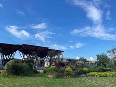 -上海长兴岛郊野公园