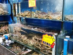 水产区-蚝专家(北滘店)