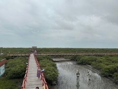 -北海金海湾红树林生态旅游区