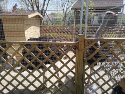 点击看大图 -萌宠亲子动物乐园(槐房万达店)