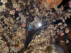 -蜜桃餐厅·伴山(绿宝广场店)