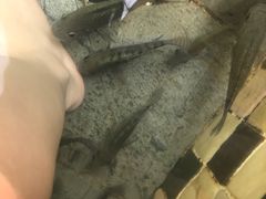 -三亚珠江南田温泉度假区