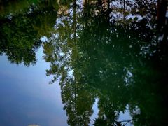 -成都市活水公园