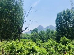 -黄金寨原生态旅游区