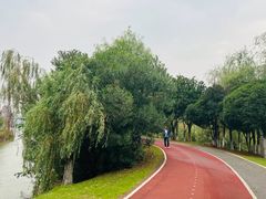 -艾溪湖湿地公园