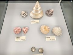 -天津古林古海岸遗迹博物馆