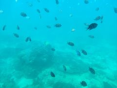 -亚龙湾海底世界