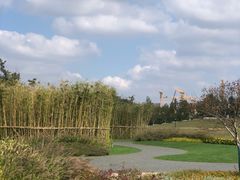 -上海山野camping·户外天幕烧烤·团建拓展营地