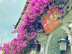 -丽江古城第一观景台