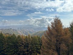 -苏木山森林公园