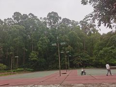 -南国桃园旅游度假区