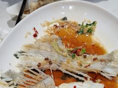 -渔码头食府·20年蓬莱老字号(登州路店)