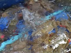 -张树军海鲜(王府壹号店)