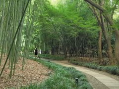 -兰亭风景区