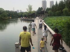 -荆川公园