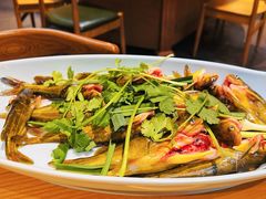 黄腊丁-老凯俚酸汤鱼(多彩城店)