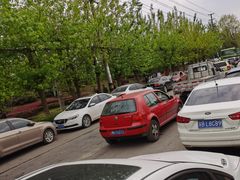 -白鹭湾湿地公园