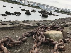 -台场海滨公园船码头