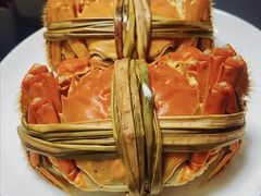 -阳澄湖大闸蟹·琼灵阁牌品牌连锁(吴中总店)