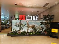 -新白鹿餐厅(城西银泰城店)